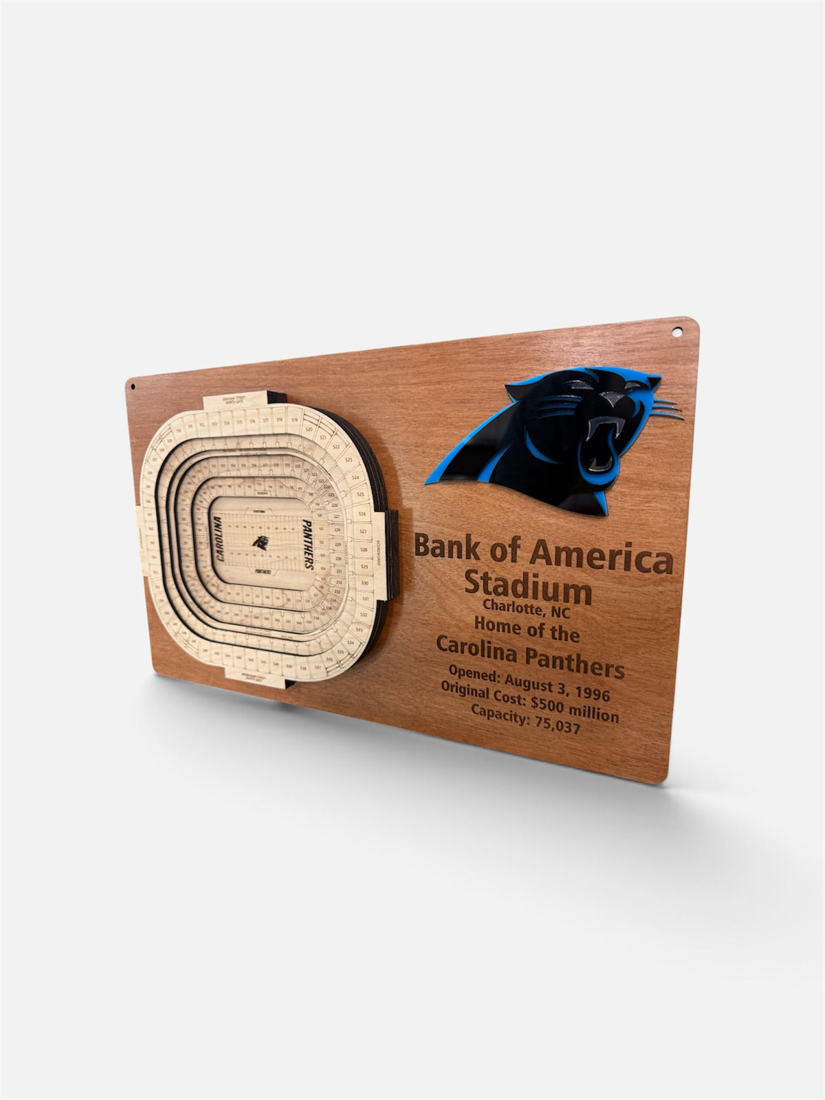 Bank of America Stadium - Carolina Panthers